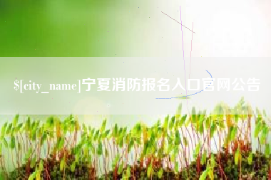 定安宁夏消防报名入口官网公告