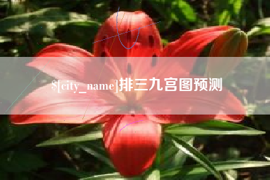 定安排三九宫图预测