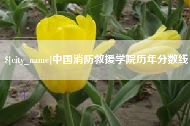 定安中国消防救援学院历年分数线