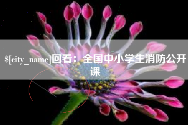 定安回看：全国中小学生消防公开课