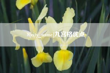定安九宫格优点