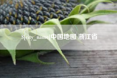 定安中国地图 浙江省
