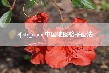 定安中国地图格子画法