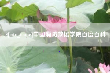 定安中国消防救援学院百度百科