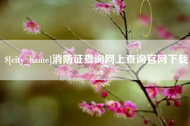 定安消防证查询网上查询官网下载