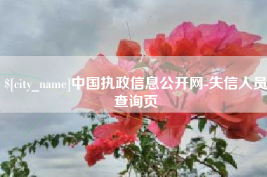 定安中国执政信息公开网-失信人员查询页