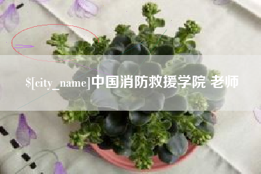 定安中国消防救援学院 老师