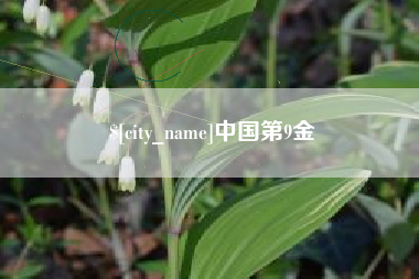 定安中国第9金