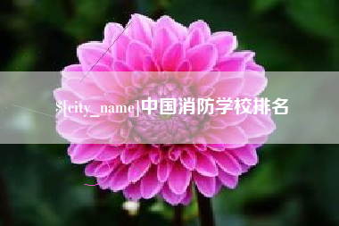 定安中国消防学校排名
