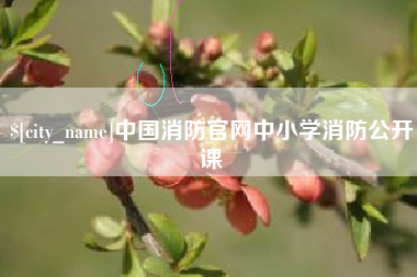 定安中国消防官网中小学消防公开课
