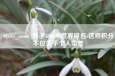 定安男子5000米世界排名-这些积分不仅关乎个人荣誉