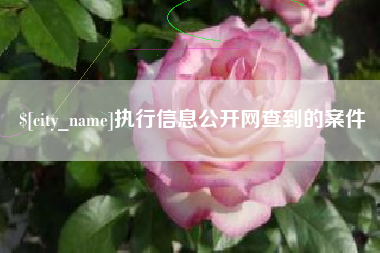 定安执行信息公开网查到的案件