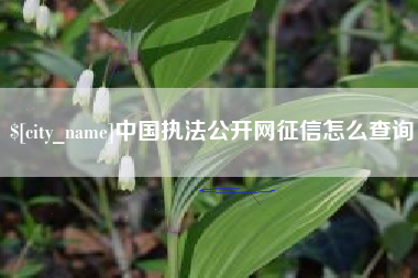 定安中国执法公开网征信怎么查询