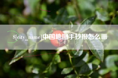 定安中国地图手抄报怎么画