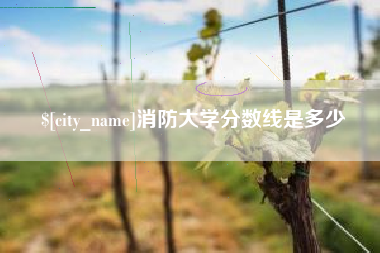 定安消防大学分数线是多少