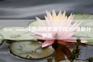 定安中国消防救援学院2019录取分数线
