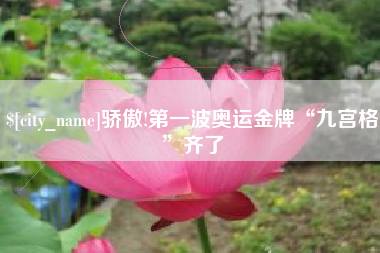 定安骄傲!第一波奥运金牌“九宫格”齐了