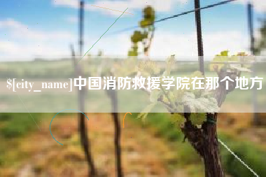 定安中国消防救援学院在那个地方