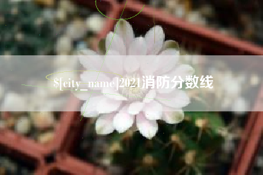 定安2021消防分数线
