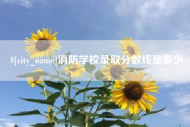 定安消防学校录取分数线是多少