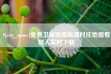 定安免费卫星地图高清村庄地图看到人实时下载