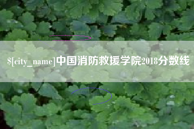 定安中国消防救援学院2018分数线