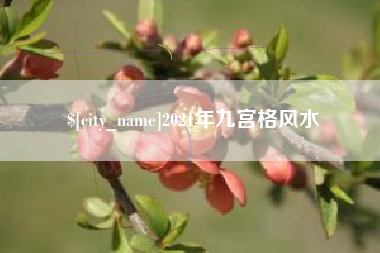 定安2021年九宫格风水
