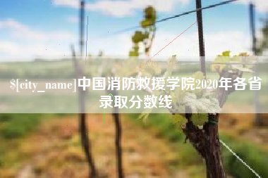 定安中国消防救援学院2020年各省录取分数线