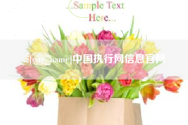 定安中国执行网信息官网