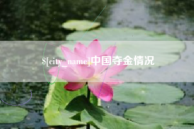 定安中国夺金情况
