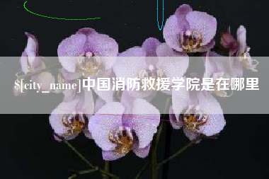 定安中国消防救援学院是在哪里