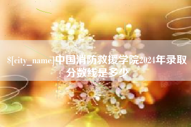 定安中国消防救援学院2024年录取分数线是多少