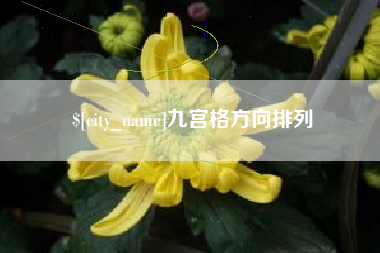 定安九宫格方向排列