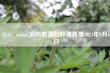 定安消防教育公开课直播2024年9月6日