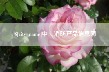 定安中囯消防产品信息网