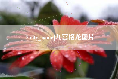 定安九宫格龙图片