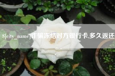 定安诈骗冻结对方银行卡,多久返还