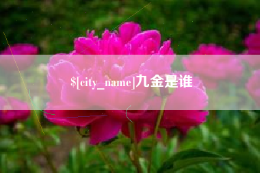 定安九金是谁