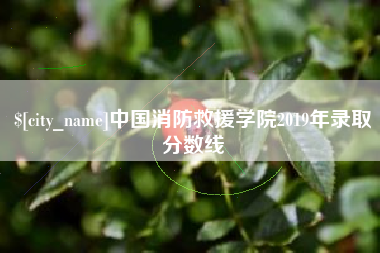 定安中国消防救援学院2019年录取分数线