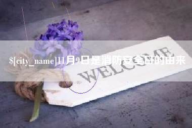 定安11月9日是消防安全日的由来