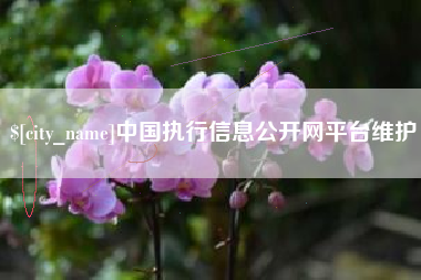 定安中国执行信息公开网平台维护
