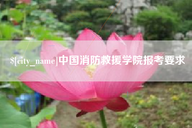 定安中国消防救援学院报考要求