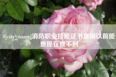 定安消防职业技能证书查询以前能查现在查不到