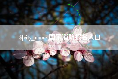 定安国家消防报名入口
