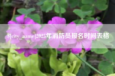 定安2025年消防员报名时间表格
