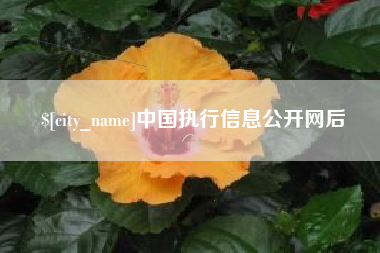 定安中国执行信息公开网后