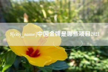 定安中国金牌是哪些项目2021