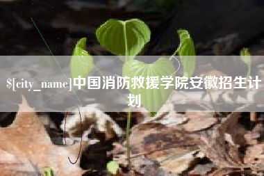 定安中国消防救援学院安徽招生计划