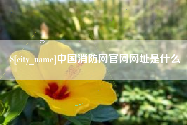定安中国消防网官网网址是什么