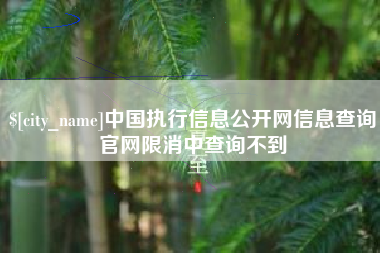 定安中国执行信息公开网信息查询官网限消中查询不到